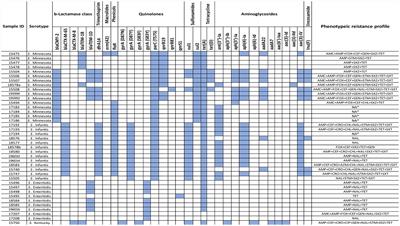 Antimicrobial resistance and genomic characterization of Salmonella enterica isolates from chicken meat